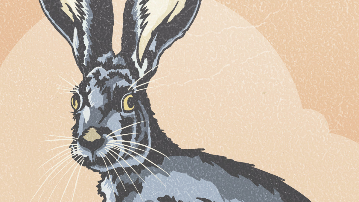 The Case for Rabbit Trails