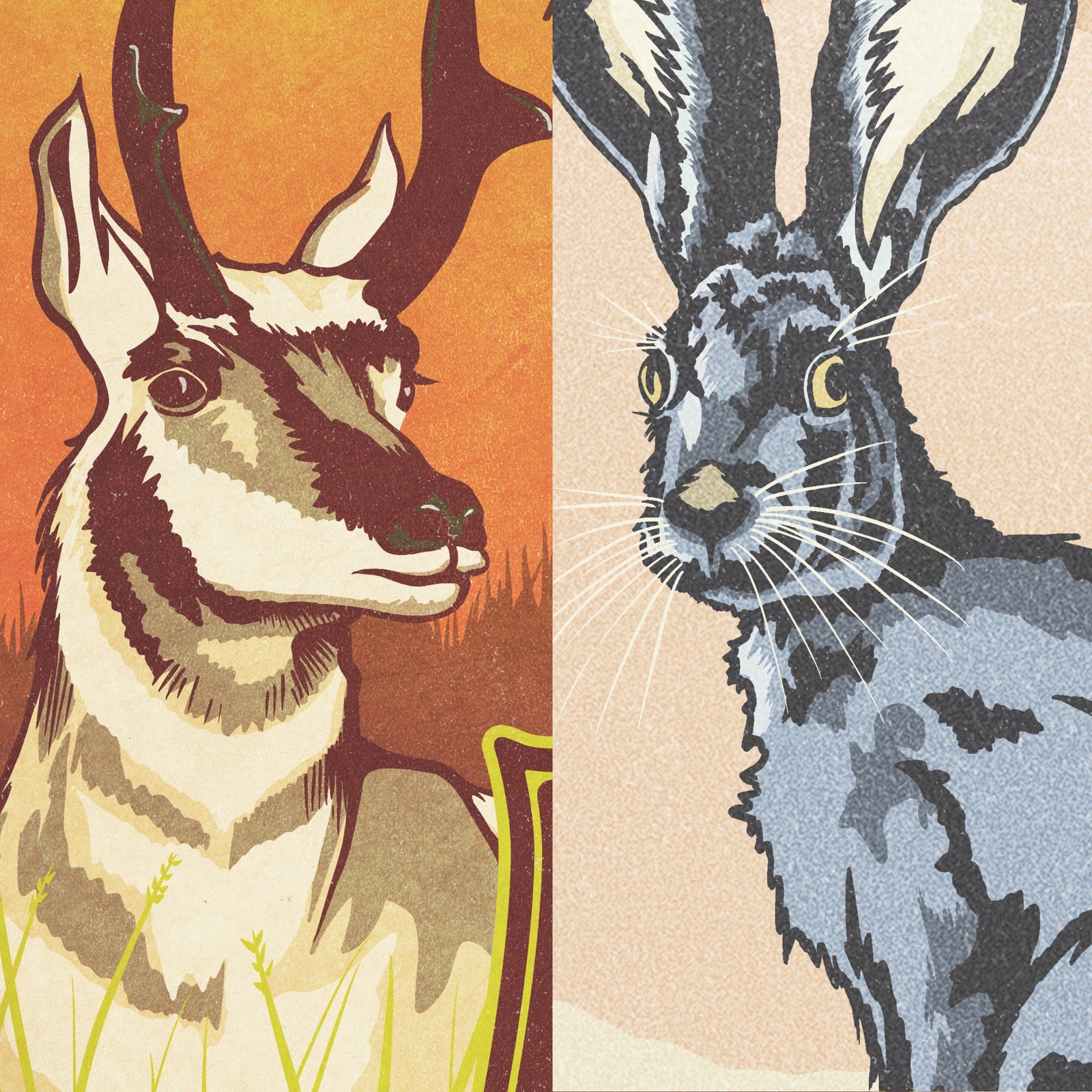 Pronghorn and Jackrabbit poster set displayed together in modern above white sofa