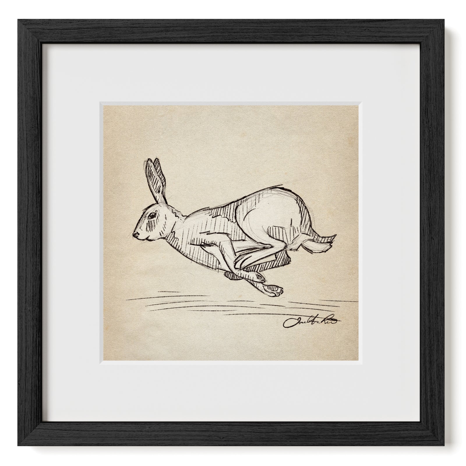 Running Rabbit sketch art print in Black Frame with Matte