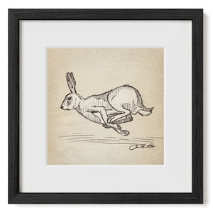 Running Rabbit sketch art print in Black Frame with Matte