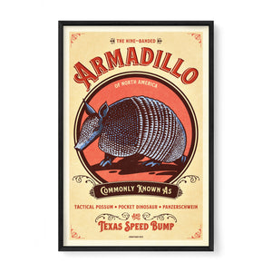 Armadillo poster by Jonathan Rice black frame