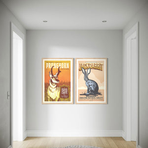 Two framed Vintage-inspired posters of a pronghorn and jackrabbit in a hallway.