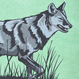 Coyote poster by Jonathan Rice detail mockup