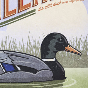 Close-up detail of the illustrated Mallard duck showing layered textures, vintage typography, and graphic illustration.