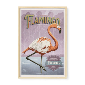 American Flamingo poster in an oak frame