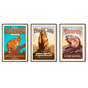 Raccoon, prairie dog and beaver wildlife gallery set in Walnut frames