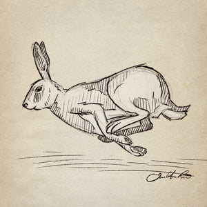Running Rabbit sketch art print