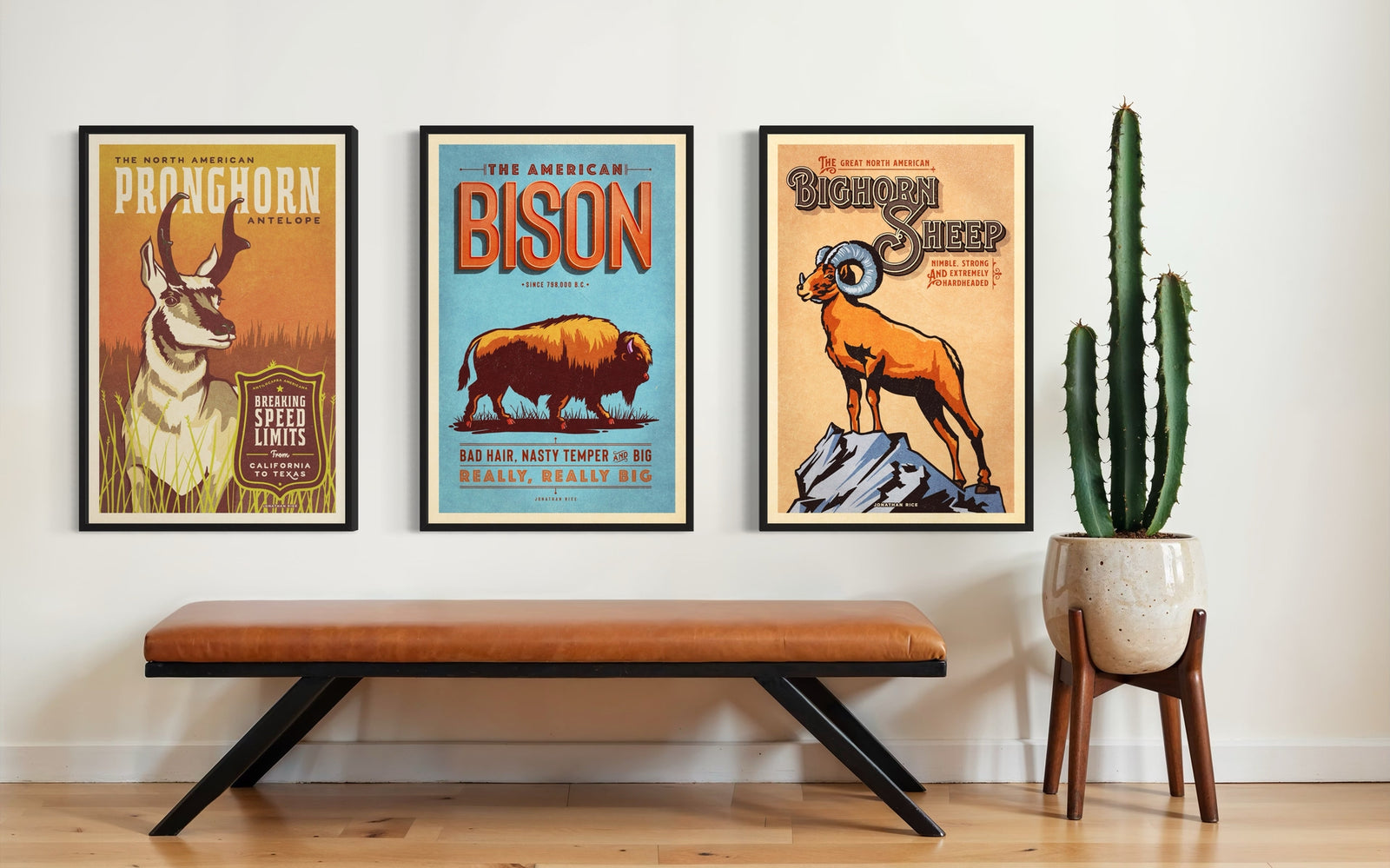 Gallery set of three Western animal posters with pronghorn, bison, and bighorn sheep displayed above a bench with cactus decor