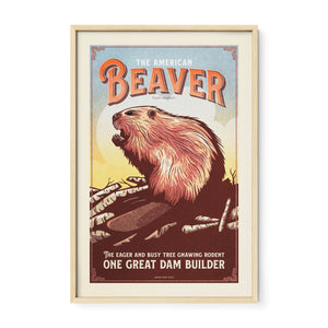 American Beaver poster by Jonathan Rice oak frame