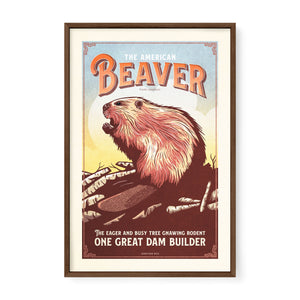 American Beaver poster by Jonathan Rice walnut frame