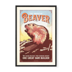 American Beaver poster by Jonathan Rice black frame