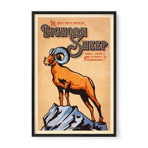 Bighorn Sheep poster by Jonathan Rice black frame