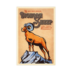Bighorn Sheep poster by Jonathan Rice unframed