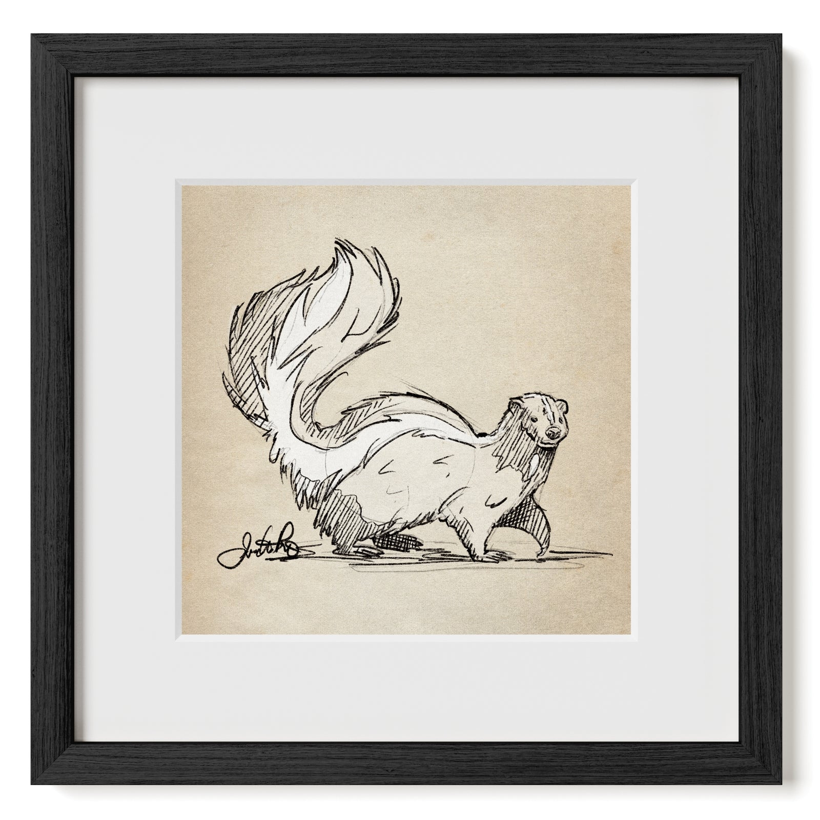 Skunk sketch art print matted and framed