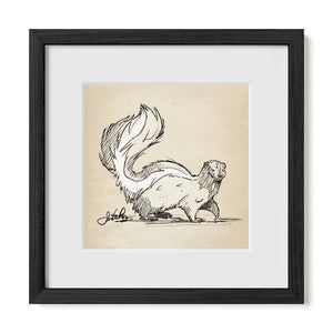 Skunk sketch in black frame with white matte