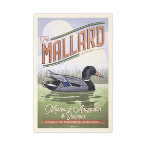 Unframed Mallard duck wildlife art print featuring vintage-inspired illustration and humorous typography.