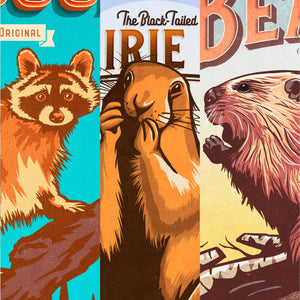 Detailed view of the raccoon, prairie dog and beaver illustrations in a coordinated North American wildlife wall art set