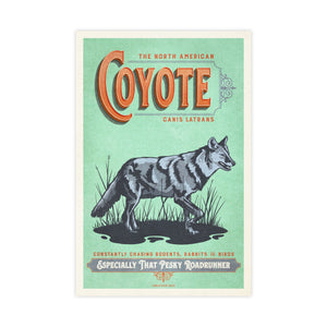 Coyote poster by Jonathan Rice unframed