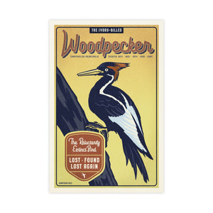 Ivory-Billed Woodpecker poster by Jonathan Rice unframed