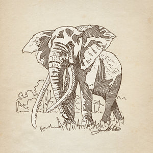 Bull Elephant fine-tip pen sketch art print