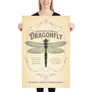 Product mockup of Retro style giclée art print of a Dragon depicted on an ornate backgound. It has muted colors, textures, and ornate typography, with a headline that says “The Mysterious & Magical Dragonfly”.  At the bottom the type says “The graceful, beautiful and amazing aerialist.”