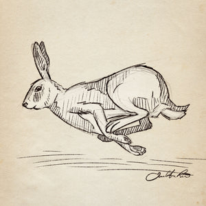 Running Rabbit sketch art print