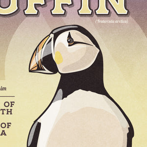 Close-up detail of Atlantic Puffin illustration showing colorful beak and vintage textures