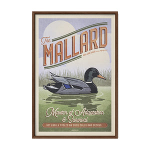 Mallard duck poster displayed in a walnut wood frame.