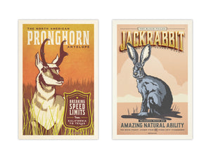 Pronghorn / jackrabbit posters by Jonathan Rice unframed