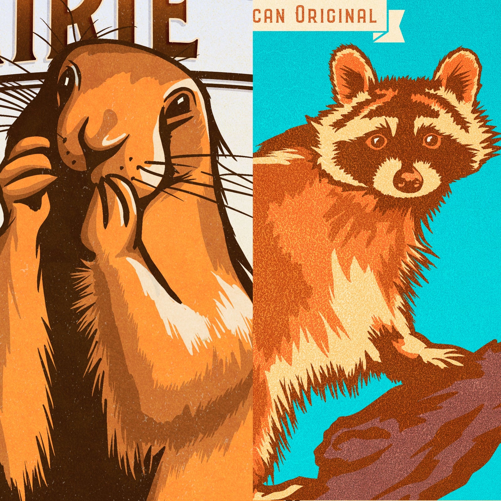 Coordinating prairie dog and raccoon wildlife art prints displayed side by side in frames above a modern couch