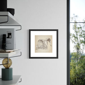 Framed Bighorn Sheep sketch between shelves and window