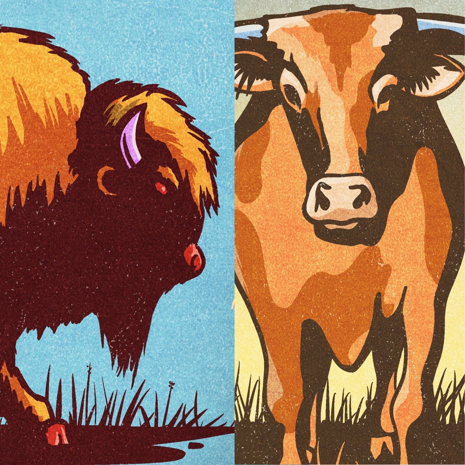 Bison and Longhorn western animal art print set featuring vintage-inspired wildlife illustrations from the Creatures of Character collection displayed over a sofa