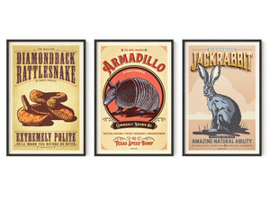 Gallery wall set of three framed animal posters in black frames featuring a rattlesnake, armadillo, and jackrabbit