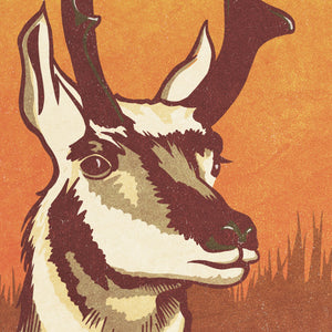 Pronghorn Antelope poster by Jonathan Rice detail mockup