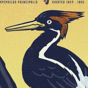 Ivory-Billed Woodpecker poster by Jonathan Rice detail mockup