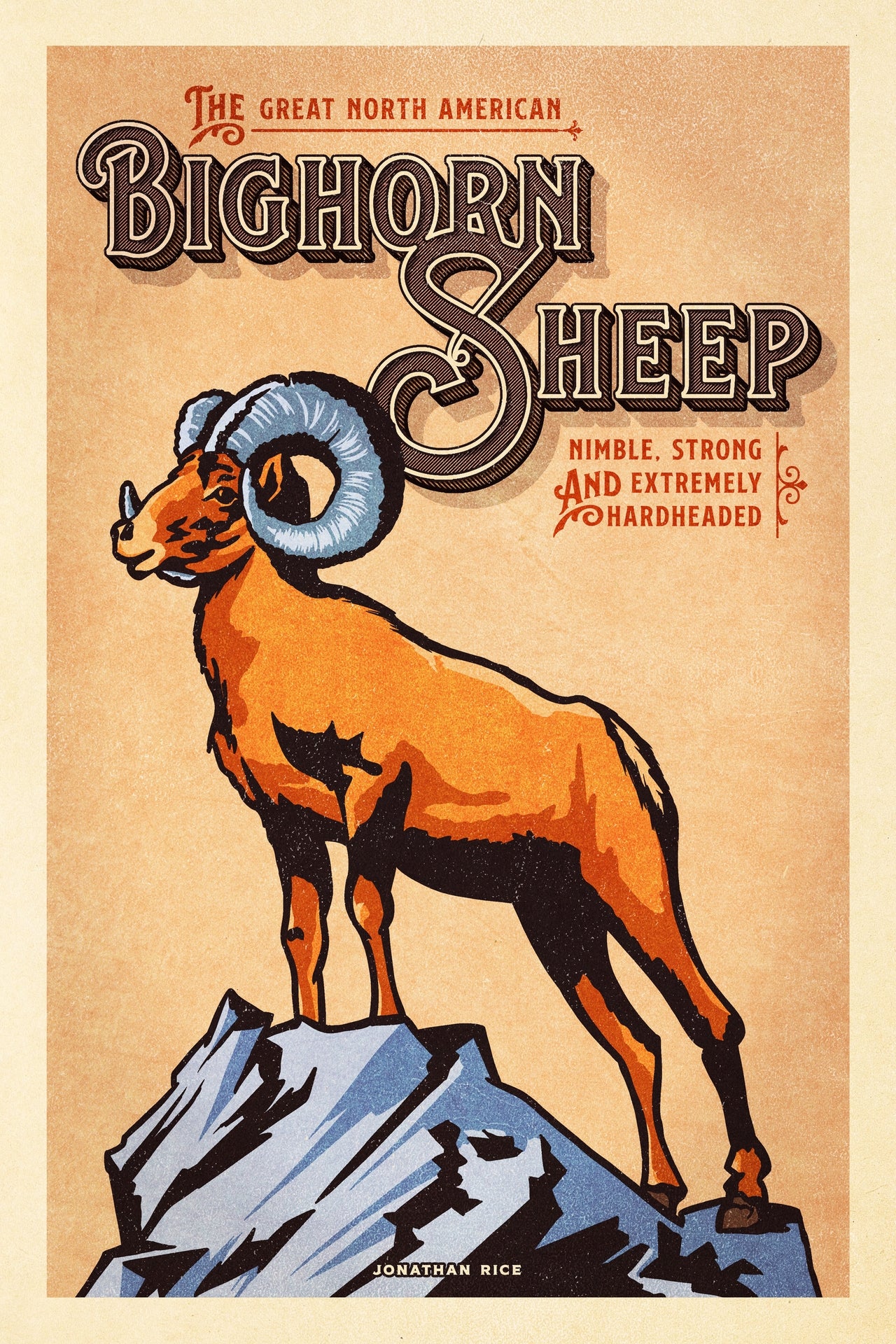 Bighorn Sheep illustrated poster from the Creatures of Character animal illustration series