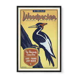 Ivory-Billed Woodpecker poster by Jonathan Rice black frame
