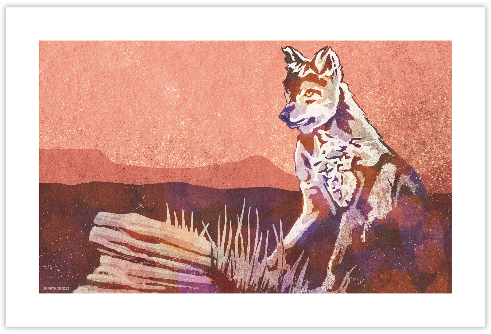 Modern style giclée art print of a Coyote standing on a rock in the wild. With its warm tones, vibrant foreground colors and gritty texture with a minimalist mountainous background.