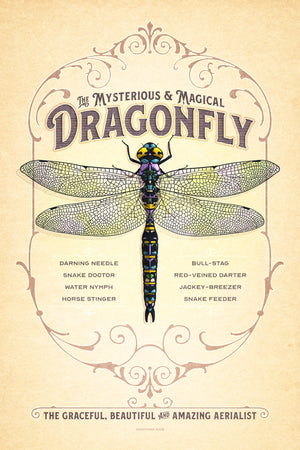 Retro style giclée art print of a Dragon depicted on an ornate backgound. It has muted colors, textures, and ornate typography, with a headline that says “The Mysterious & Magical Dragonfly”.  At the bottom the type says “The graceful, beautiful and amazing aerialist.”