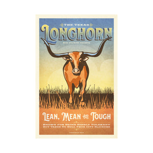 Texas Longhorn Poster by Jonathan Rice unframed