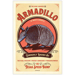 Vintage-style Armadillo illustrated poster from the Creatures of Character animal illustration series
