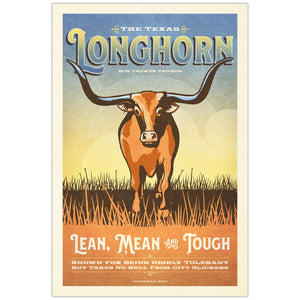 Poster of a Texas Longhorn cow with text about its characteristics on a blue and yellow gradient background.