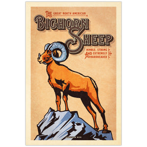 Bighorn Sheep illustrated poster from the Creatures of Character animal illustration series