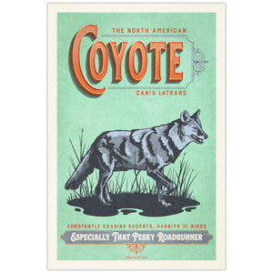 Coyote illustrated poster from the Creatures of Character animal illustration series unframed hero mockup
