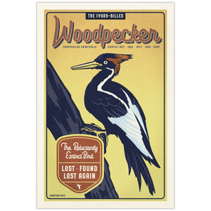 Ivory-Billed Woodpecker illustrated poster from the Creatures of Character animal illustration series