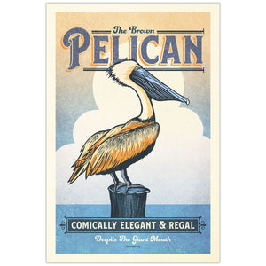Brown Pelican illustrated poster from the Creatures of Character animal illustration series by Jonathan Rice