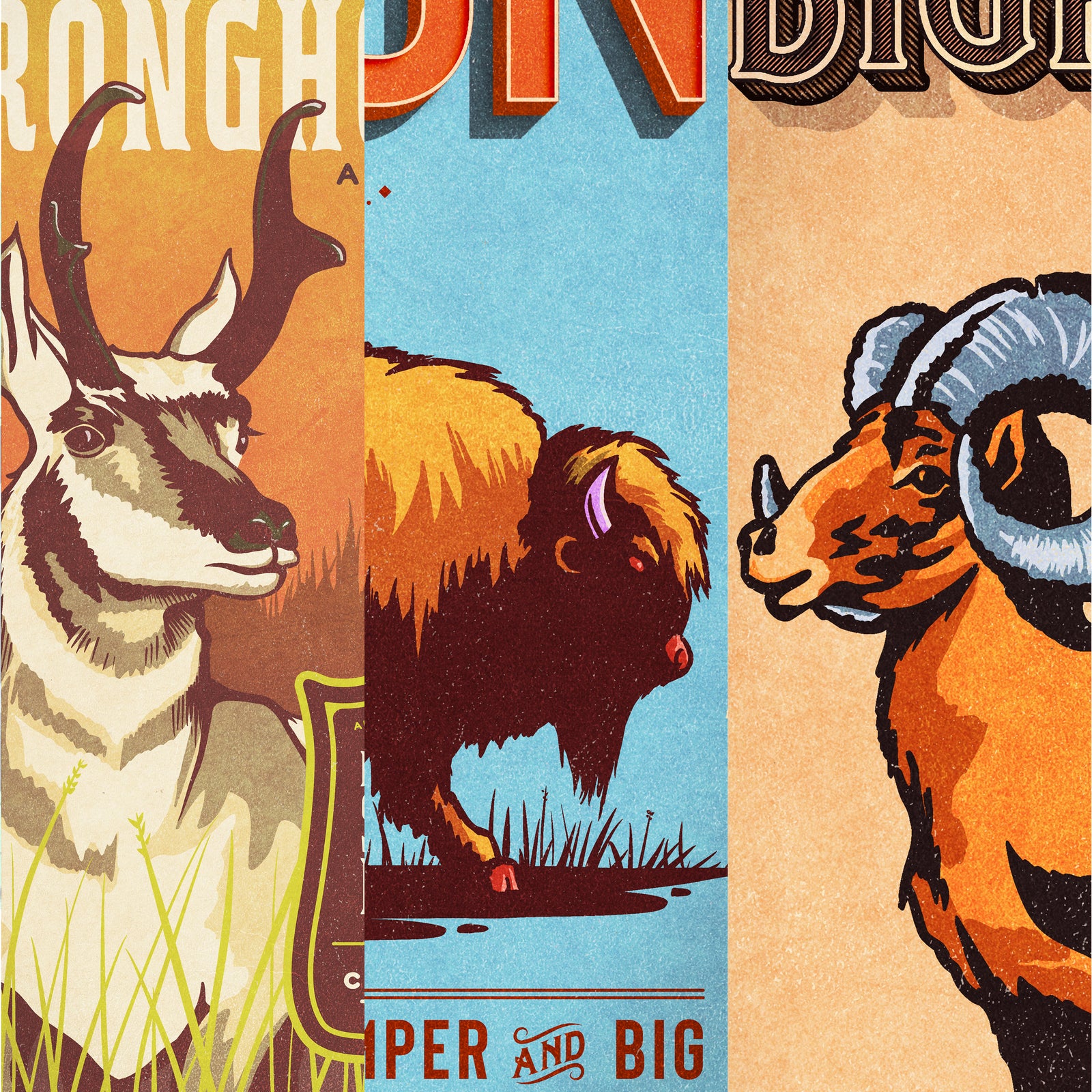 Set of three vintage-style Western animal posters featuring pronghorn, bison, and bighorn sheep displayed above a living room sofa