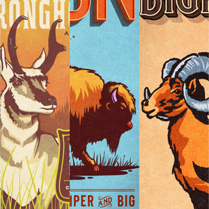 Set of three pronghorn, bison and bighorn sheep poster detail close-ups