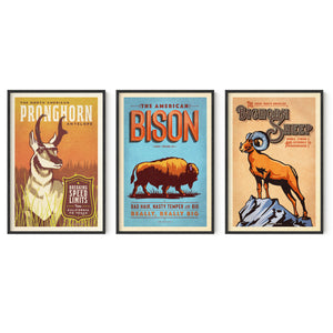 Three framed vintage-style Western animal posters featuring a pronghorn, bison, and bighorn sheep displayed side by side in black frames
