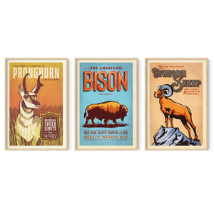 Set of three vintage-style Western animal posters featuring pronghorn, bison, and bighorn sheep shown in light oak frames